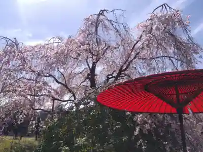 宝泉寺(京都府)