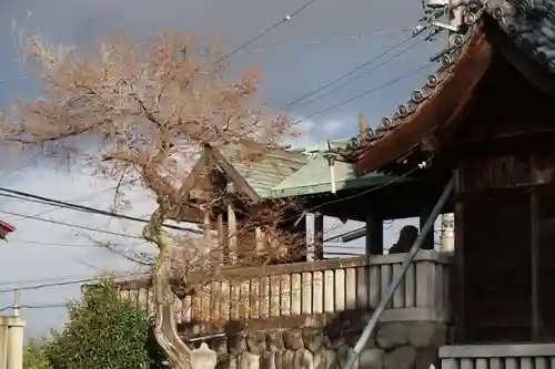 阿蘇神社(岐阜県)