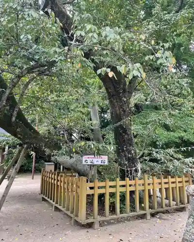 天満天神宮(茨城県)