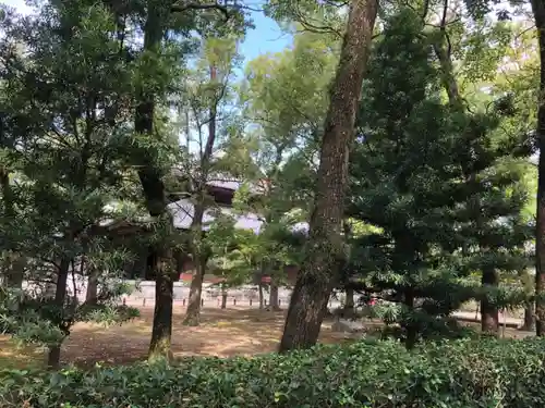 聖福寺の庭園