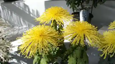 鹿島神宮(茨城県)