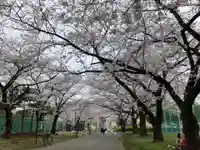 隅田川神社(東京都)