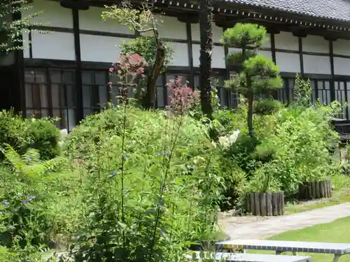 法善寺(埼玉県)
