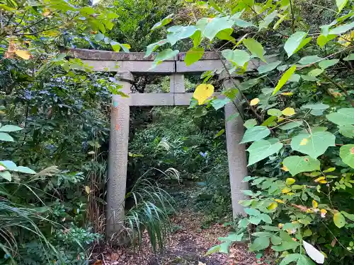 椙尾神社の鳥居