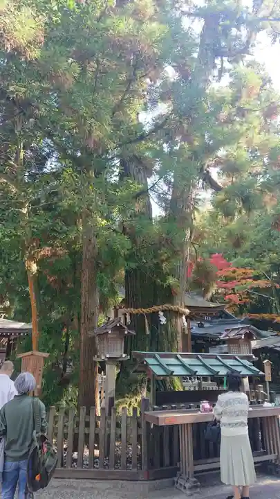 大神神社の自然