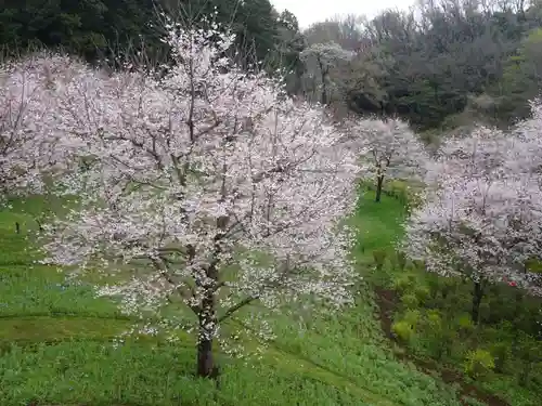 阿邪訶根神社の自然