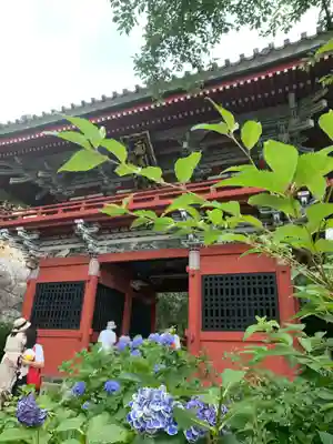 楽法寺(雨引観音)の山門・神門