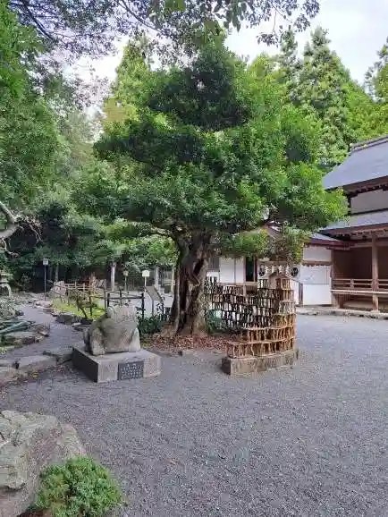椿大神社(三重県)