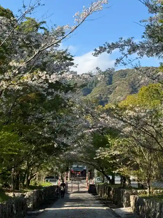 土佐神社の{uncategorized: "未分類", other: "その他", undefined: "問題あり", building: "その他建物", grave: "お墓", sacred_gate: "鳥居", guardian: "狛犬", statue: "像", buddha: "仏像", history: "歴史", nature: "自然", garden: "庭園", animal: "動物", pagoda: "塔", temizu: "手水舎", mountain_gate: "山門・神門", sanctuary: "本殿・本堂", subordinate: "末社・摂社", art: "芸術", scenery: "景色", jizo: "地蔵", ema: "絵馬", goshuin: "御朱印", omikuji: "おみくじ", items: "授与品その他", amulet: "お守り", goshuincho: "御朱印帳", eats: "食事", festival: "お祭り", votive_dance: "神楽", shichigosan: "七五三参", wedding: "結婚式", experience: "体験その他", initially: "初詣", around: "周辺", anti_infection: "感染症対策"}