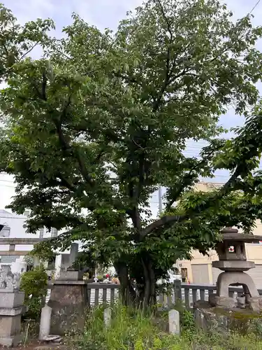 多賀神社(香川県)