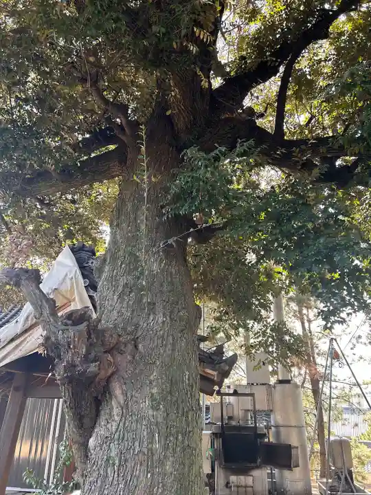 万福寺(愛知県)