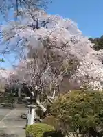 妙頓寺(宮城県)