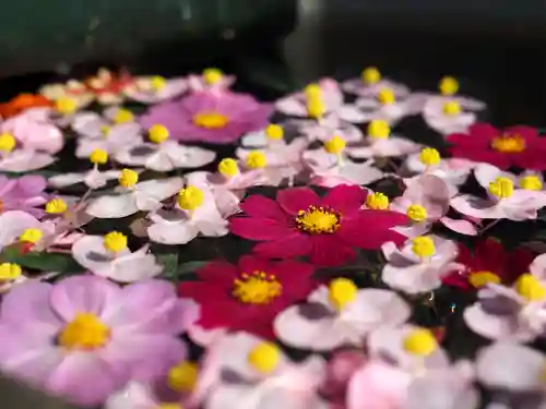 今市報徳二宮神社の手水舎