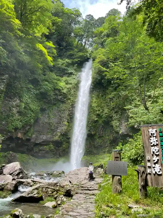 白山神社(長滝神社・白山長瀧神社・長滝白山神社)の周辺