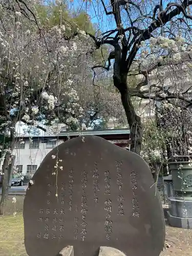 川口神社(埼玉県)