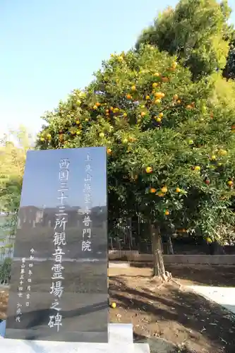 普門院(埼玉県)