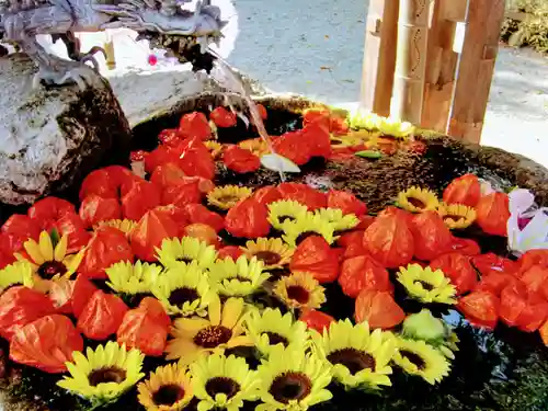 出雲大社相模分祠の手水舎