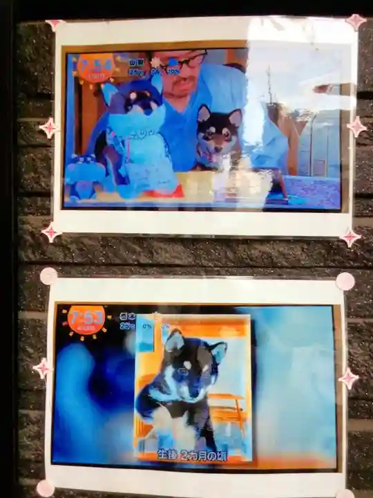 【閉業】小石川大神宮(東京都)