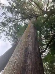 大神神社(奈良県)