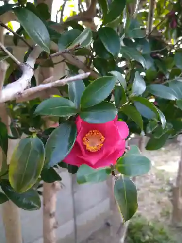 阿智神社の自然