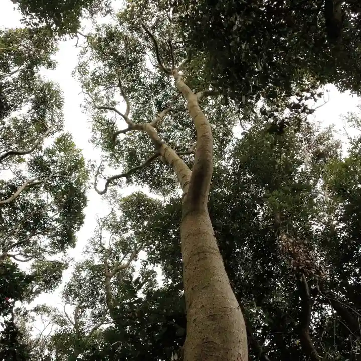 天満神社の自然