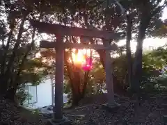 金山御獄大神の鳥居