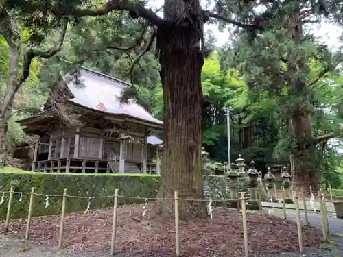 配志和神社のその他建物