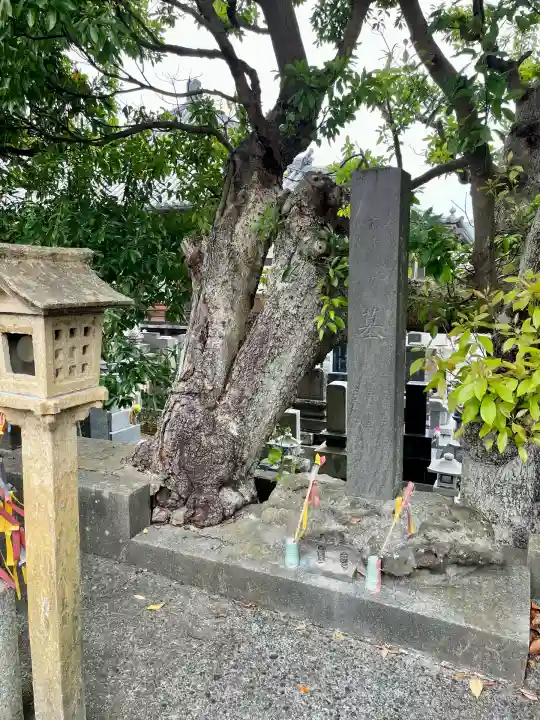 光念寺(神奈川県)