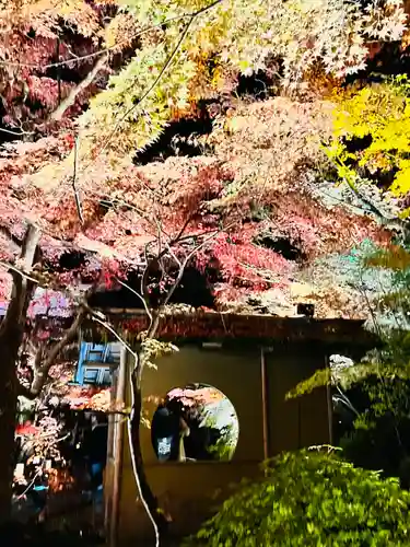 円通院(宮城県)