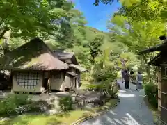 高台寺（高台寿聖禅寺・高臺寺）(京都府)