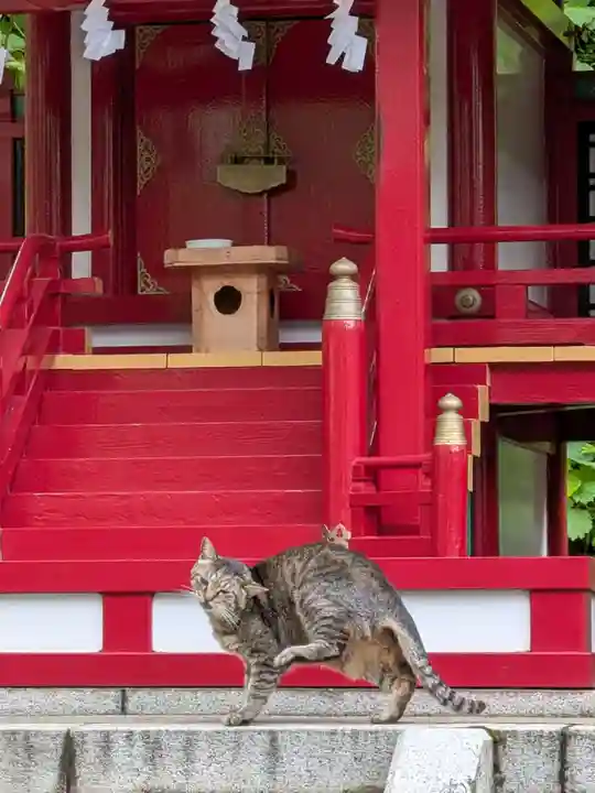 白金氷川神社(東京都)