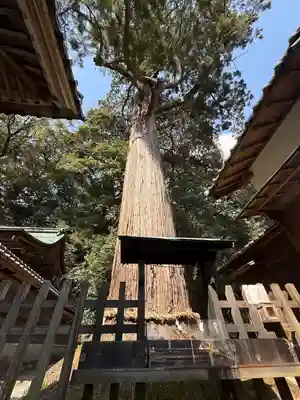 事任八幡宮(静岡県)
