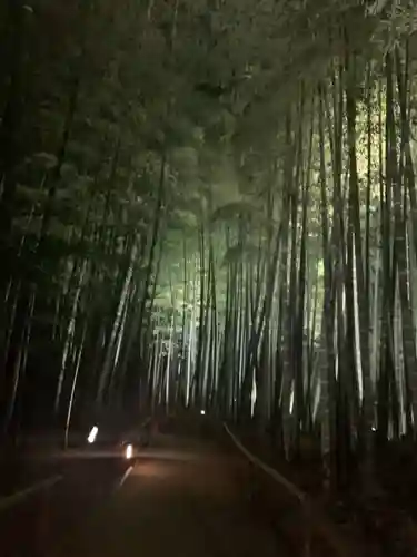 高台寺（高台寿聖禅寺・高臺寺）の景色
