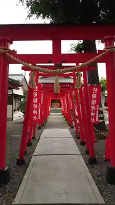 於菊稲荷神社の鳥居