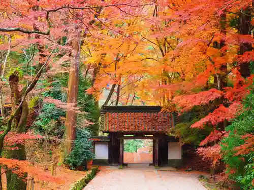 香積寺の山門