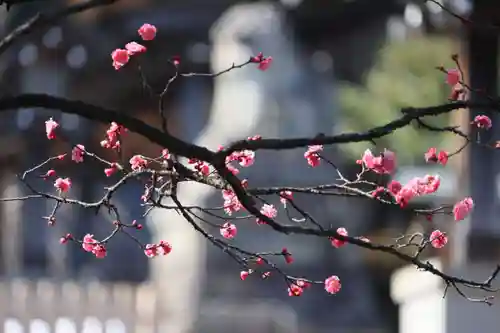 開成山大神宮の庭園