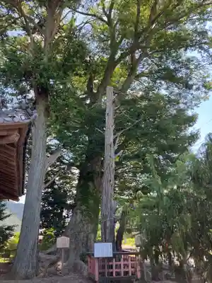 梅田神社の自然