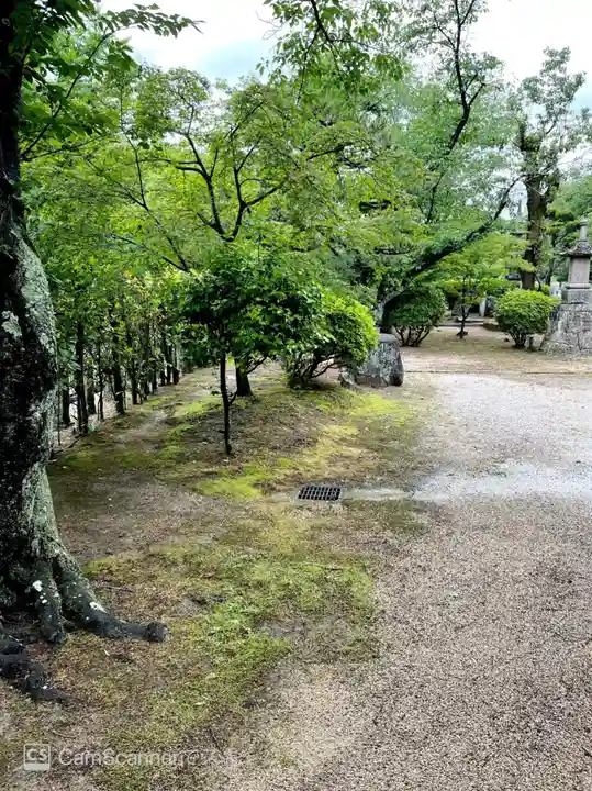大龍寺(大阪府)