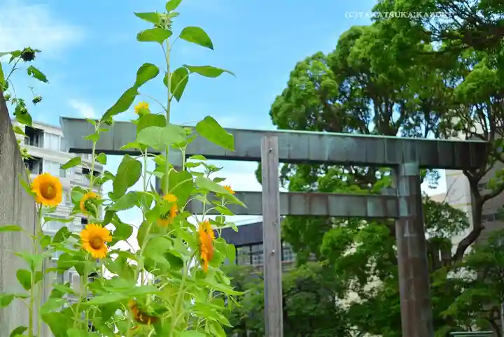 伊勢山皇大神宮(神奈川県)