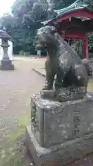 玉﨑神社の狛犬