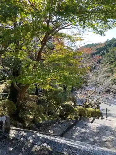 丹生大師 神宮寺の庭園