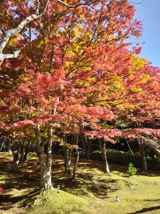 土津神社|こどもと出世の神さま(福島県)