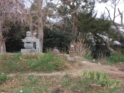 般若寺 ❁﻿コスモス寺❁(奈良県)