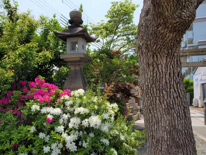 大物主神社の自然