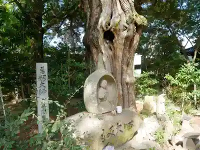 浄瑠璃寺(愛媛県)