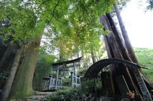 高水山　常福院　龍学寺　の鳥居