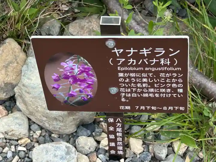 諏訪大社下社秋宮(長野県)