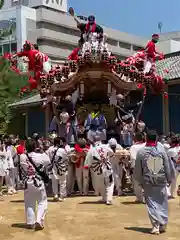 本住吉神社のお祭り