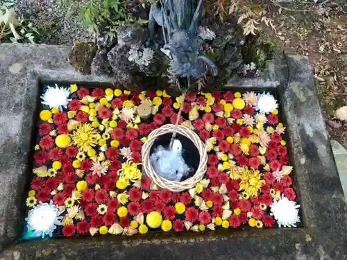 曹洞宗 永松山 龍泉寺の手水