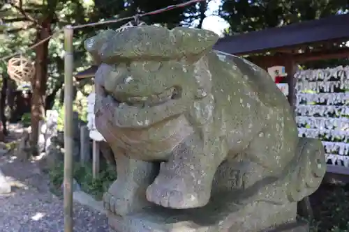 菊田神社の狛犬